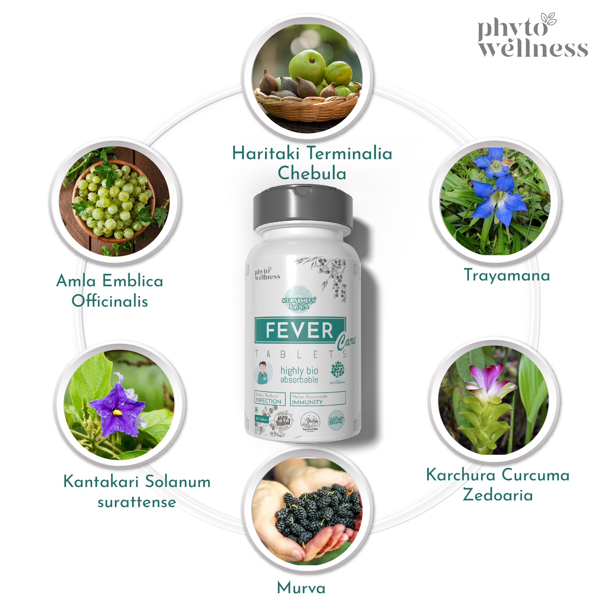 Probiotic Fever Care 60 Tablets (HS00605)